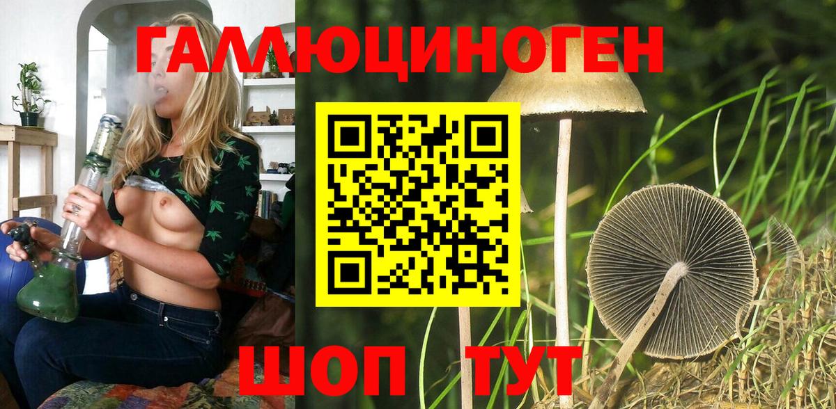 сколько стоит  Вход с VPN  Бердск  Псилоцибиновые грибы мицелий 