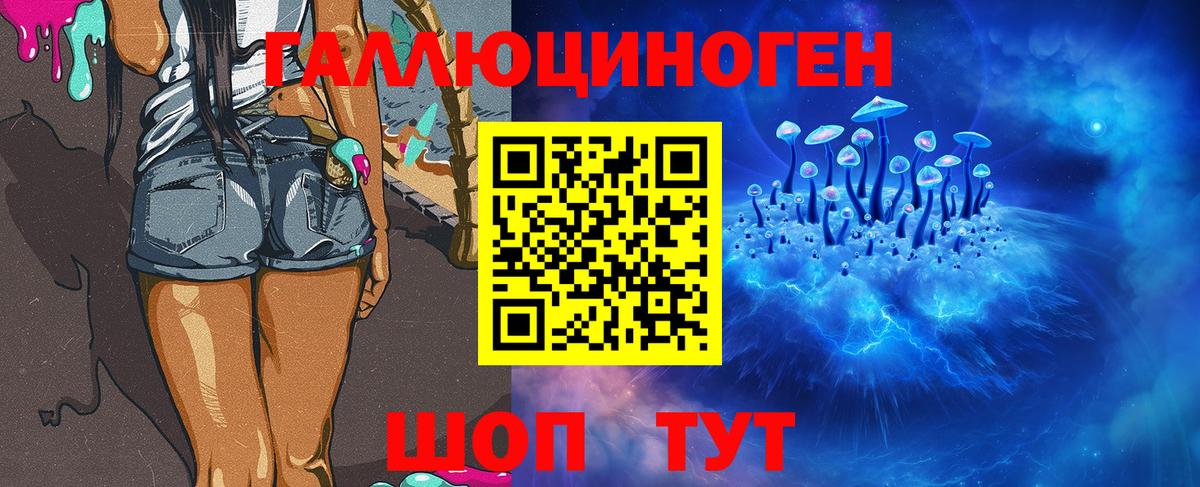 Галлюциногенные грибы Cubensis Бердск
