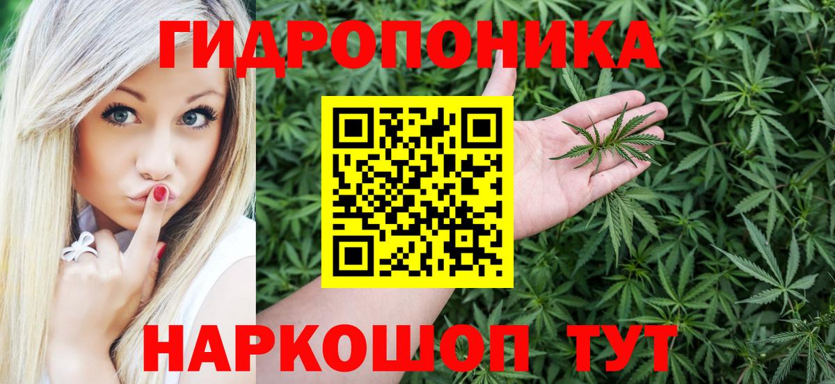 Шишки марихуана Amnesia Бердск